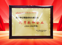 喜讯丨K8凯发(中国)数据获评2024~2025年度武汉市软件行业“优秀企业”、“优秀工作者”荣誉称号！